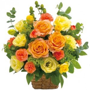 Arrangement in yellow and..