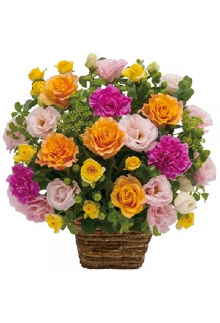 Arrangement of multicolor..
