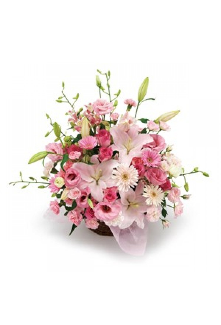 Brilliant arrangement..