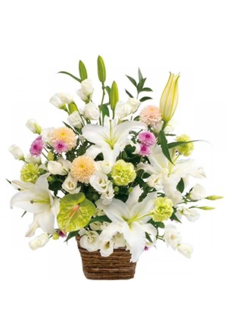 Large sympathy arrangemen.. Large sympathy arrangemen..