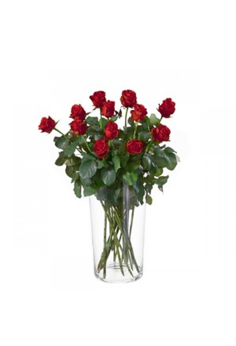 Dozen Red Roses..