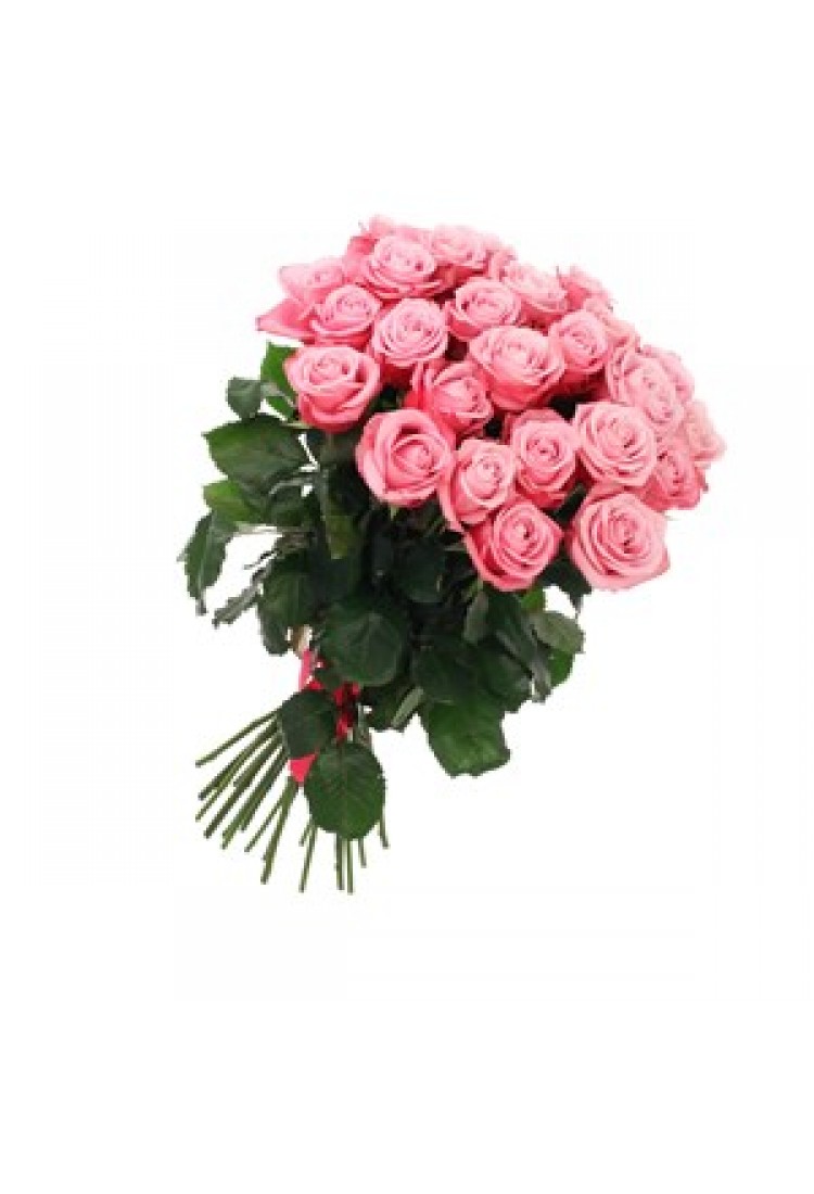 Flamingo (Pink Roses)..