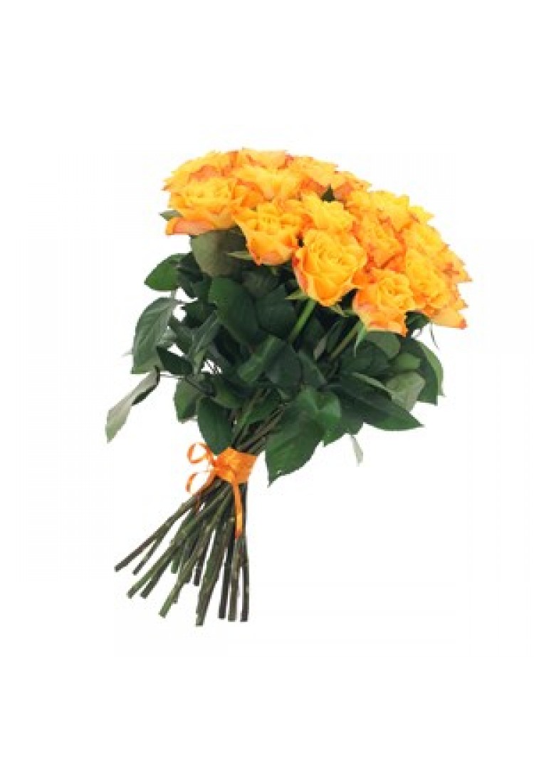 Gold (Bunch of Yellow Ros..