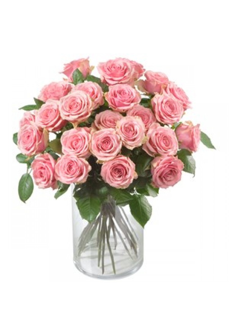 Pink Roses..