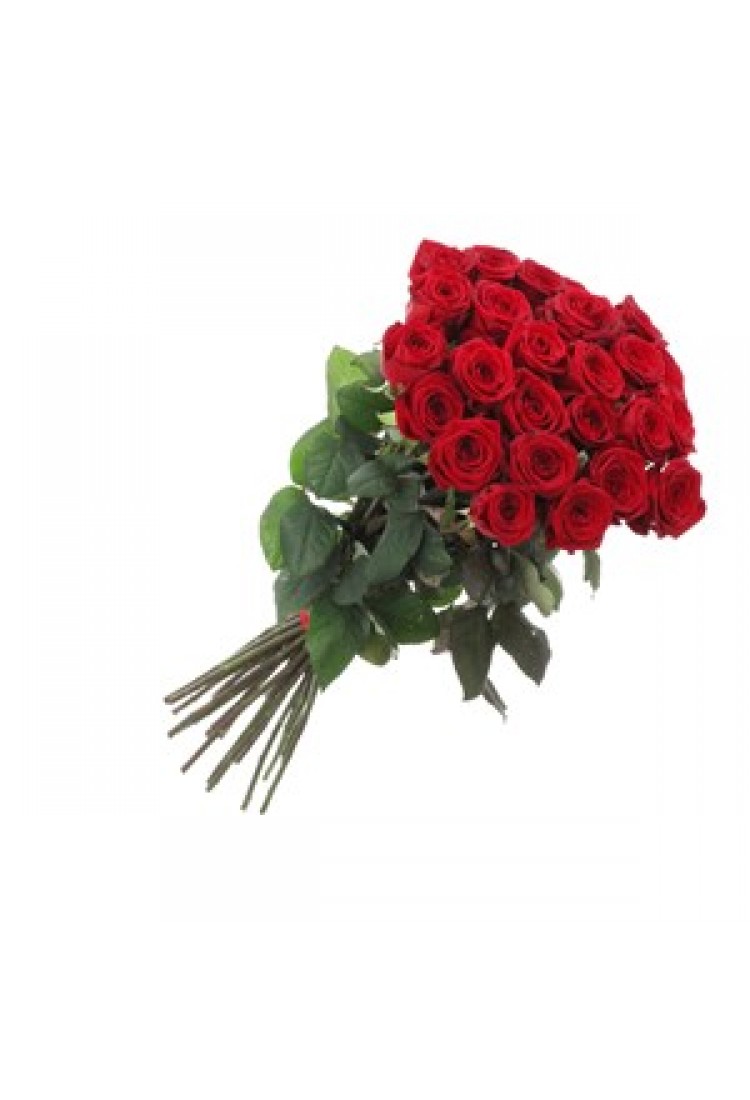 Ruby (Bunch of Red Roses)..