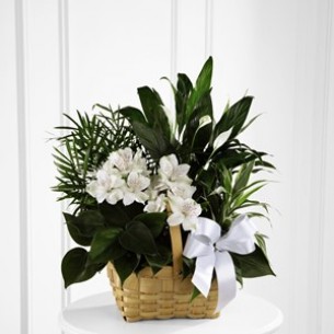 The FTD Peace and Serenit.. The FTD Peace and Serenit..