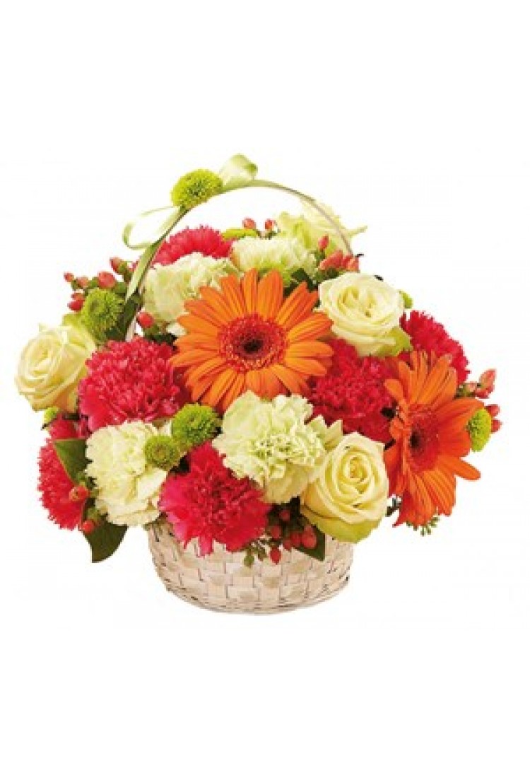 Basket arrangement..