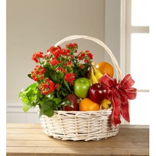 Gardens Paradise Basket..