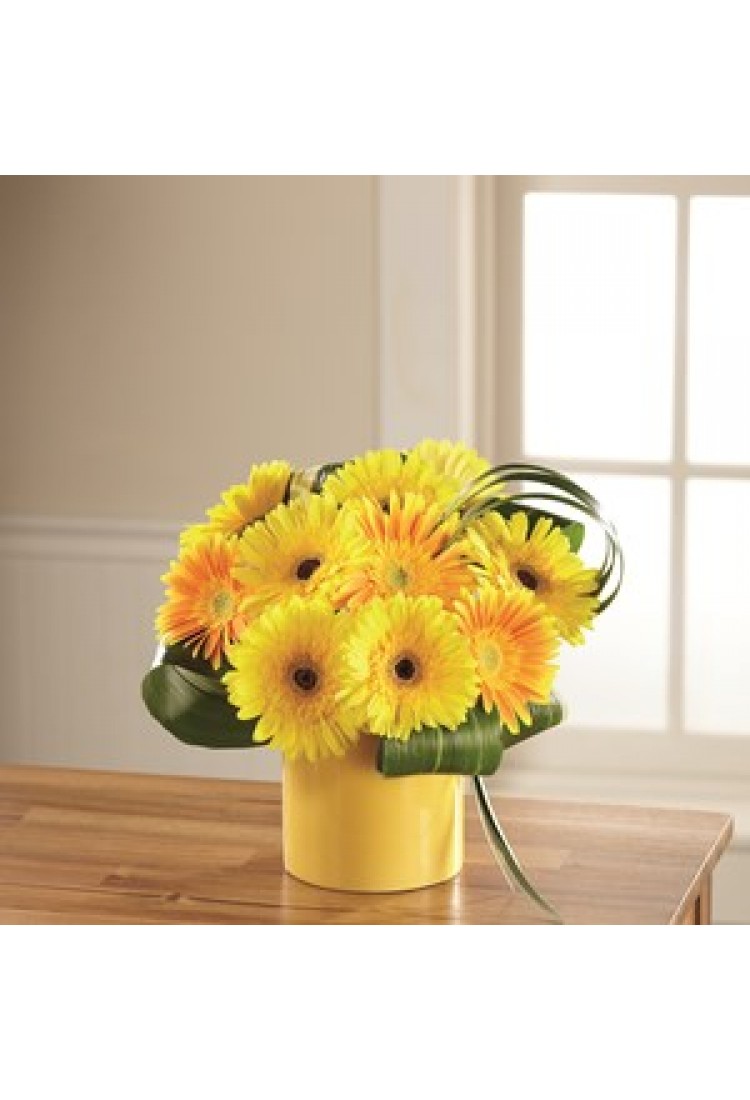 Sunny Surprise Arrangemen..