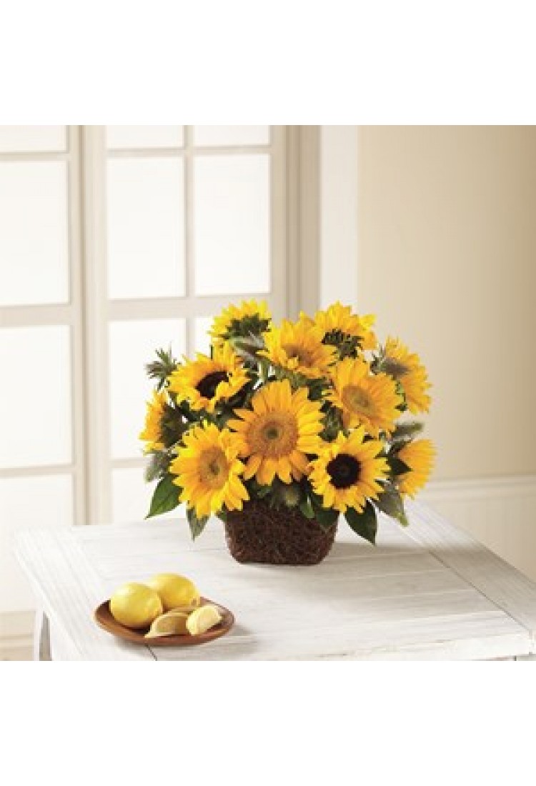 The FTD Perfect Sun Arran..