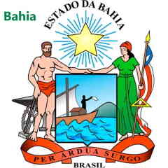 Interflora Bahia
