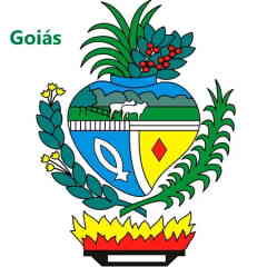 Interflora Goiás