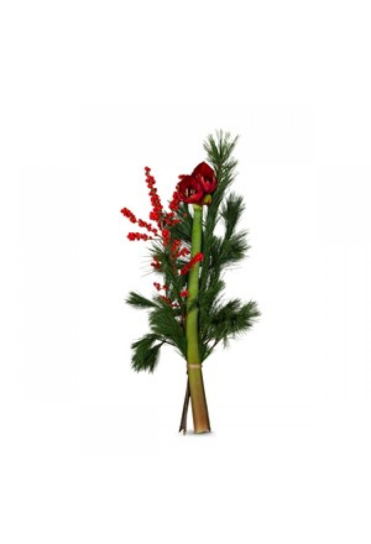 Amaryllis Bouquet Winter ..