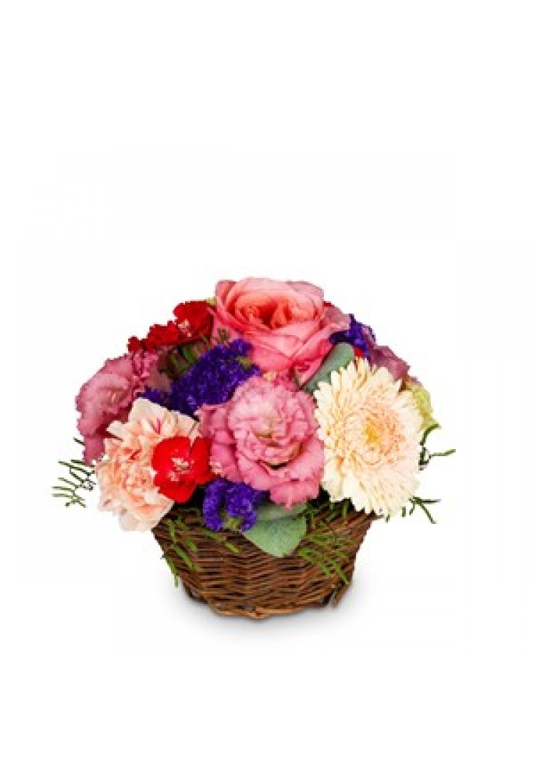 Basketarrangement Melody ..