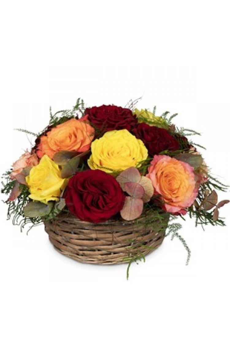 Deepest Sympathy - for th..