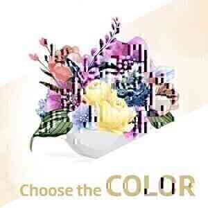 Arrangement of cut flower..