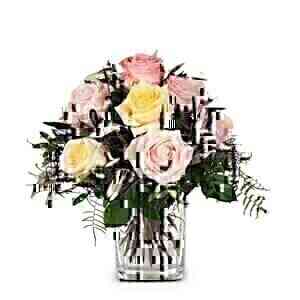 Cordial Rose Greeting..