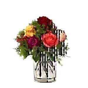 Magic of Roses..