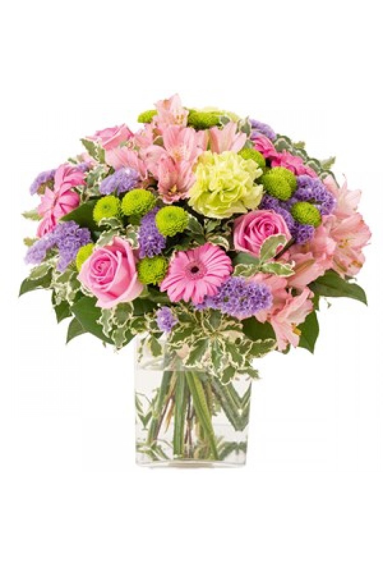 Aquarelle.. Aquarelle..