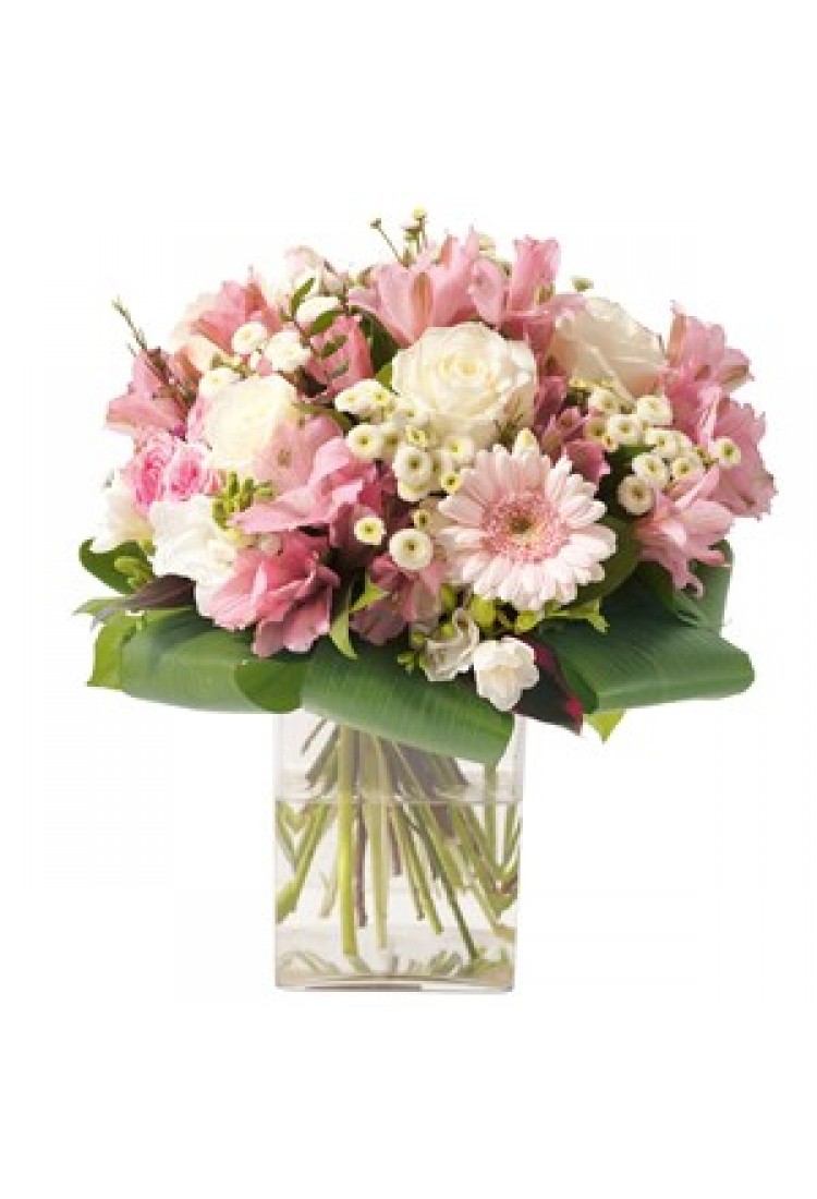 My Fair Lady.. My Fair Lady..