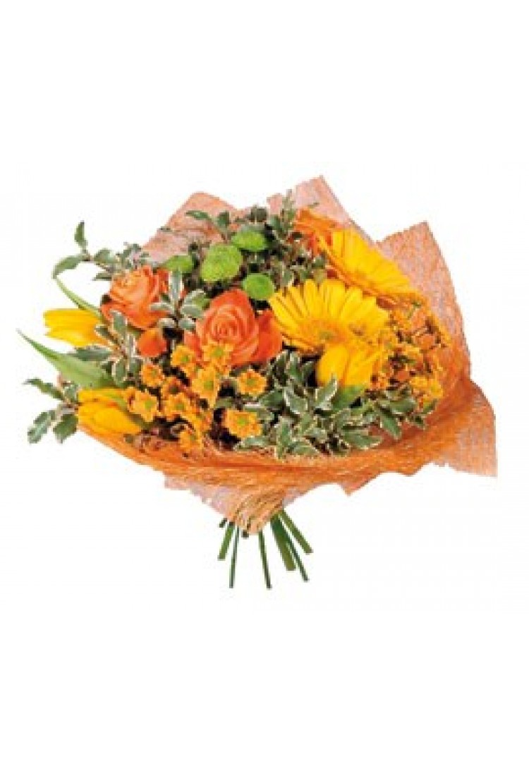 Orange Mood.. Orange Mood..