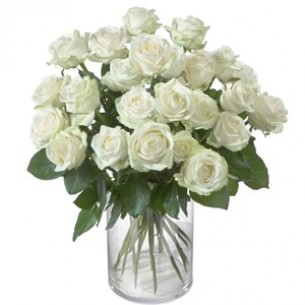 Pearl White Roses..
