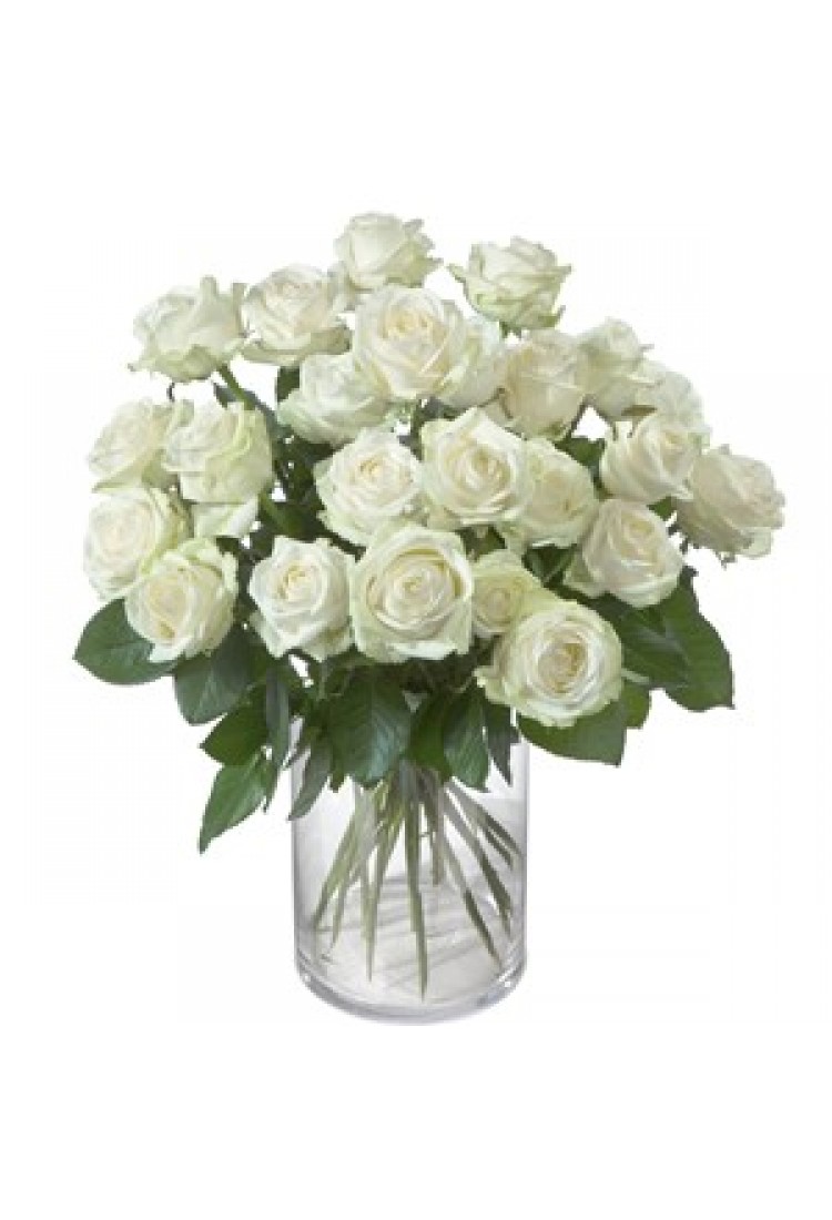 Pearl White Roses.. Pearl White Roses..