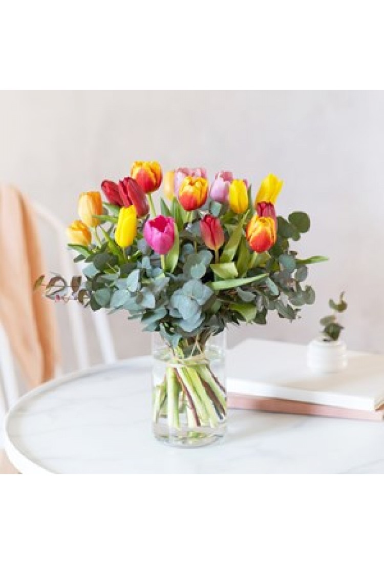 Tulips Multicolored..