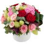 Romantic Roses..