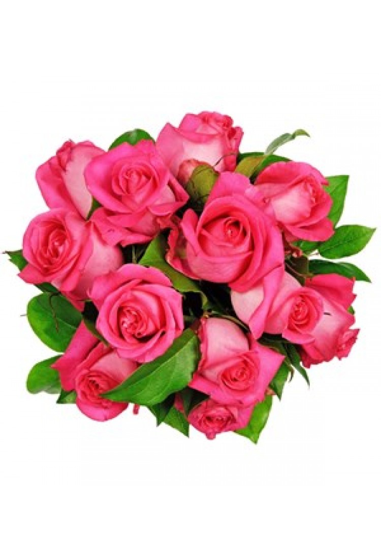 Affection Pink Roses..