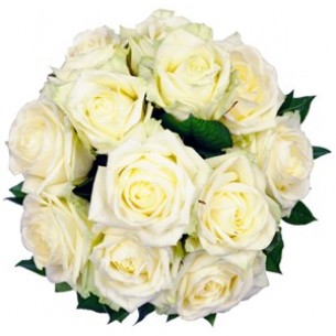 Affection White Roses..