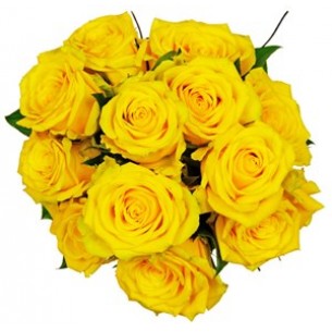 Affection Yellow Roses..