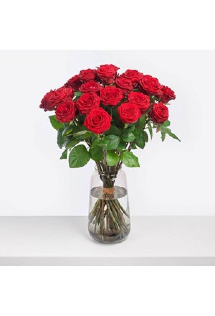 A charming gift.. A charming gift..