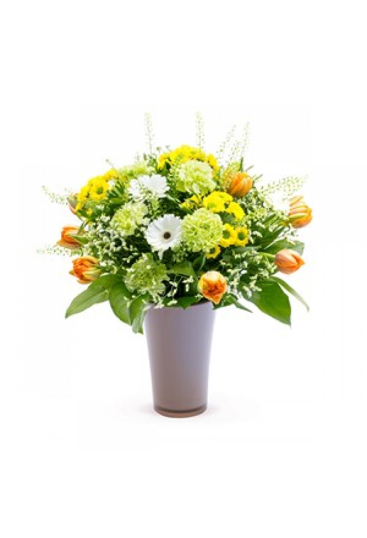 BIRTHDAY SURPRISE.. BIRTHDAY SURPRISE..