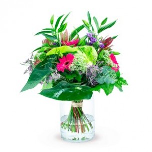 ELEGANT AND MAGNIFICENT..