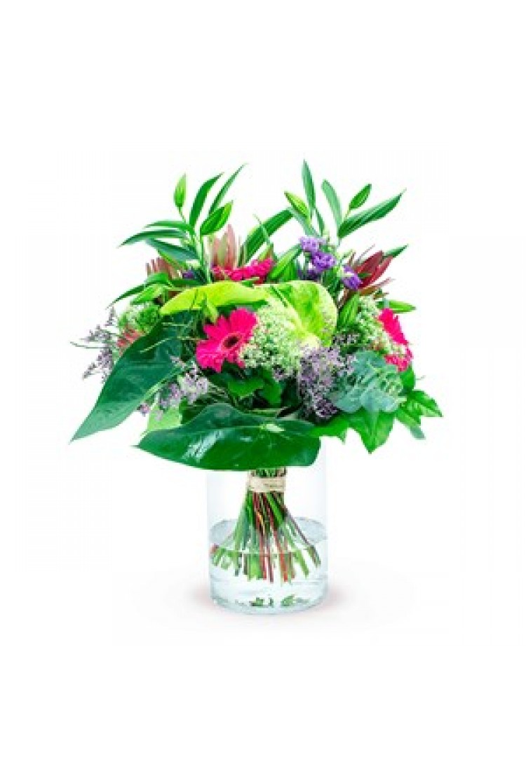 ELEGANT AND MAGNIFICENT..