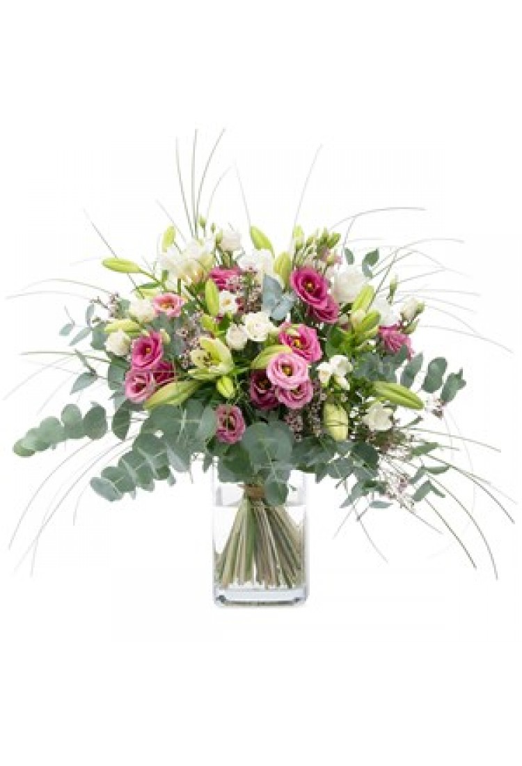 Fresh spring breeze..