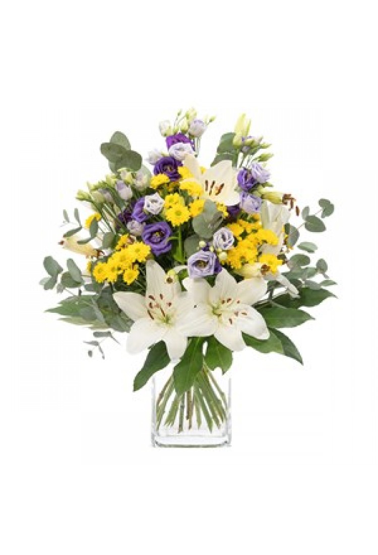 Great mood.. Great mood..