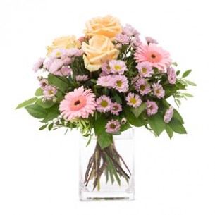 Just say thank you..