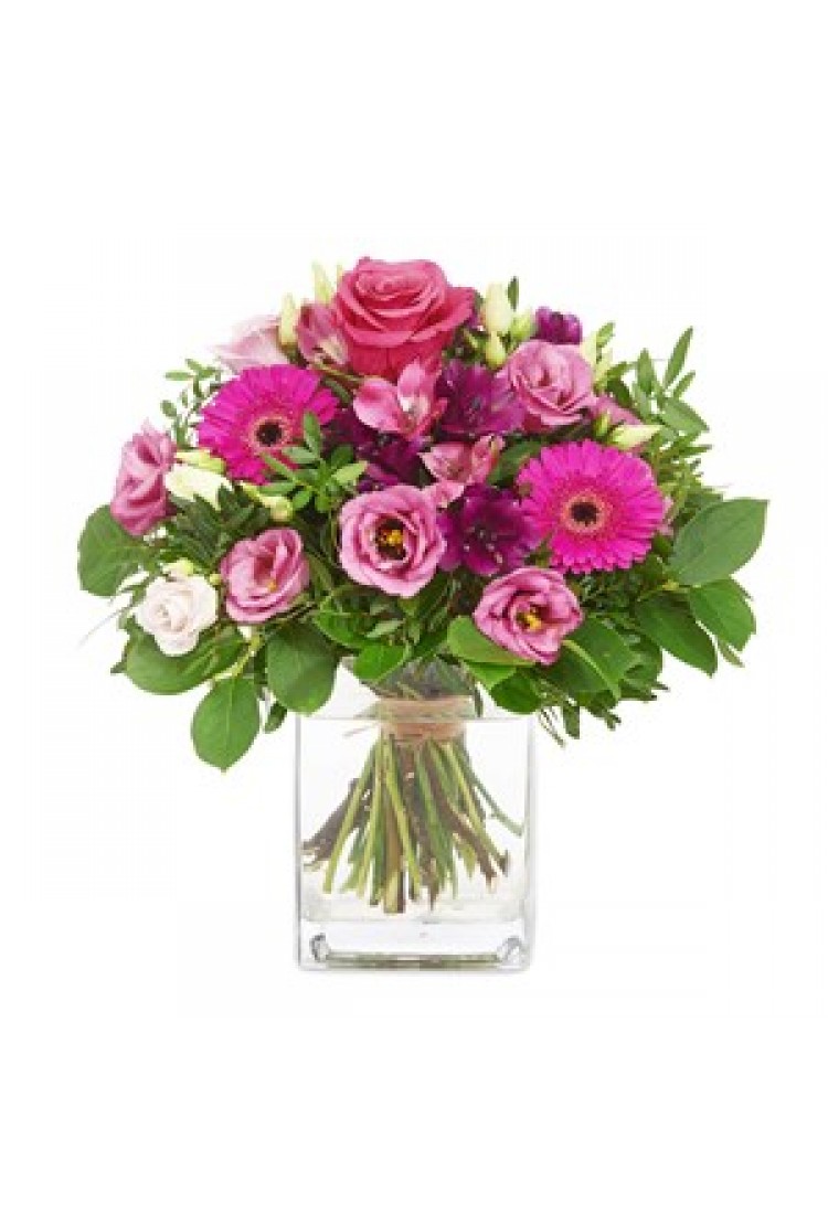 Loving hug.. Loving hug..