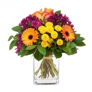 Messengers of optimism..