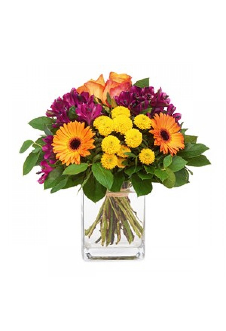 Messengers of optimism.. Messengers of optimism..