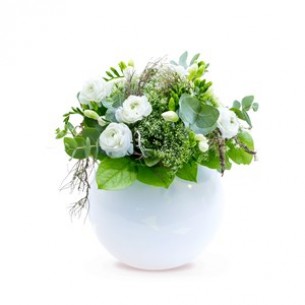 SNOW-WHITE ELEGANCE..