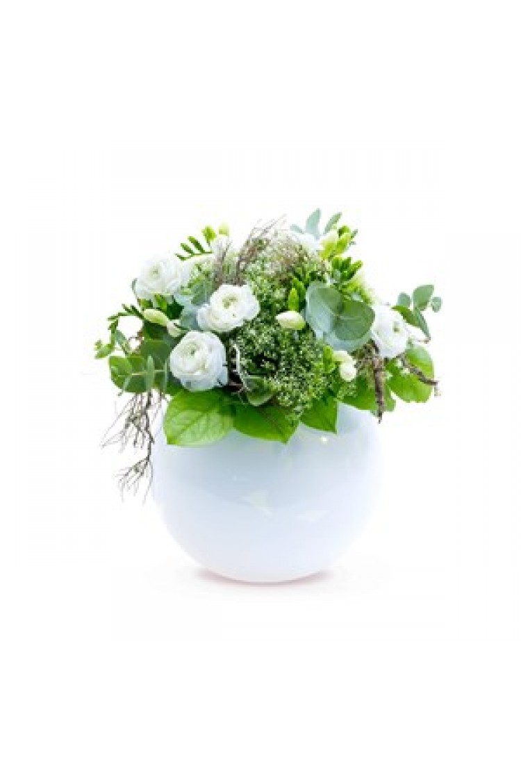 SNOW-WHITE ELEGANCE..