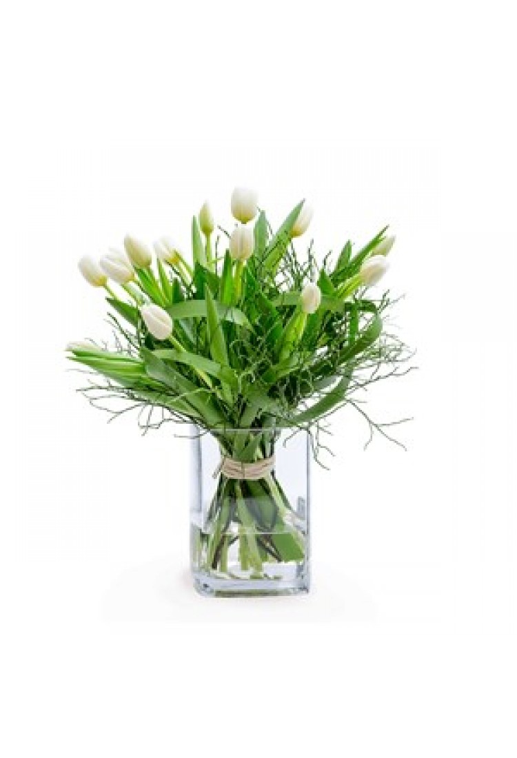 SPRING'S GREETINGS..