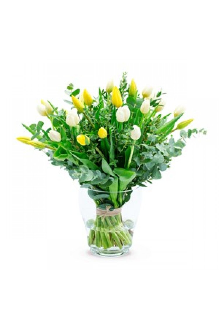 THE SPRING IS HERE..