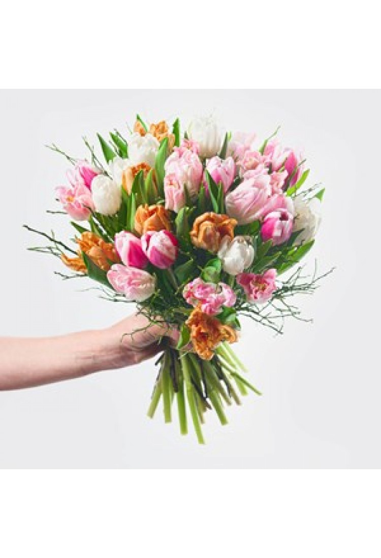 Tulip joys.. Tulip joys..