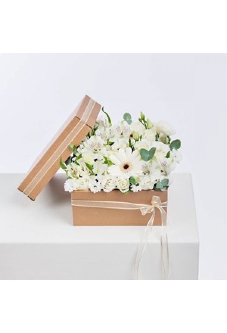 White floral dreaming..