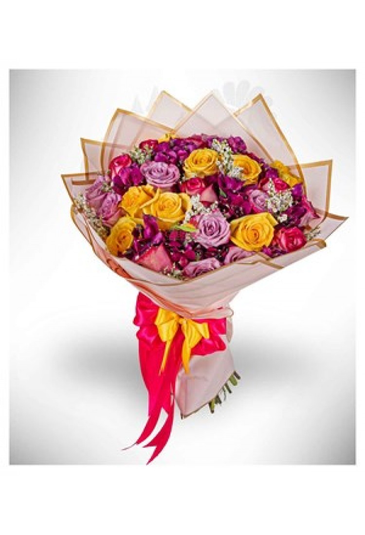 COLOR BURST.. COLOR BURST..