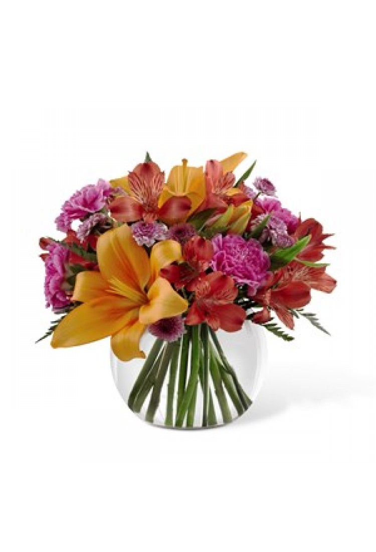 Light of My Life.. Light of My Life..